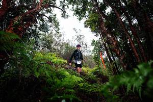 BIB: 
                            <button type="button" onclick="openModal(26201427)" class="btn btn-primary btn-sm float-right btn-popup" data-toggle="modal" data-target=".modal-high-quality">
                        <i class="fas fa-shopping-cart"></i> Add to Cart
                    </button>
                                            <button type="button" onclick="isThisMe(26201427, true)" class="btn btn-success btn-sm float-right btn-popup btn-isme hidden" data-toggle="tooltip" data-placement="bottom" title="นี่คือรูปของคุณใช่ไหม คลิกที่นี่เพื่อเอาเข้าอัลบั้ม">
                        <i class="fas fa-plus"></i> Add to album
                    </button>
                    <button type="button" onclick="isThisMe(26201427, false)" class="btn btn-warning btn-sm float-right btn-popup btn-isnotme hidden">
                        <i class="fas fa-ban"></i> Remove from album
                    </button>